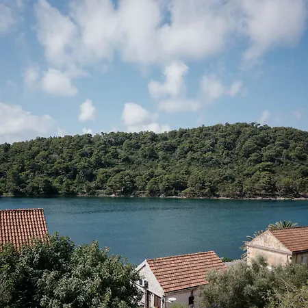 Pjevalo-mljet Apartment