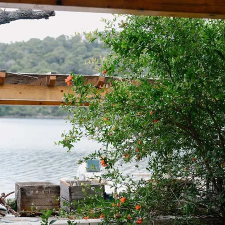 Pjevalo-mljet * Polace