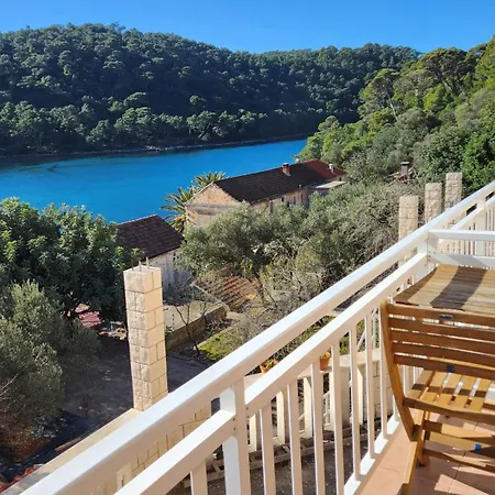 Apartman Pjevalo-mljet Polace