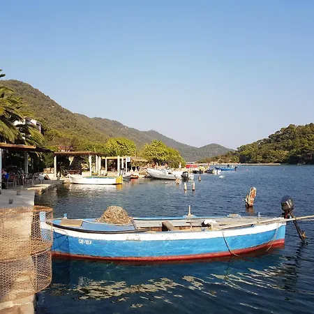 Apartament Pjevalo-mljet *