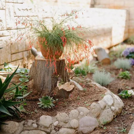 Pjevalo-mljet * Polace